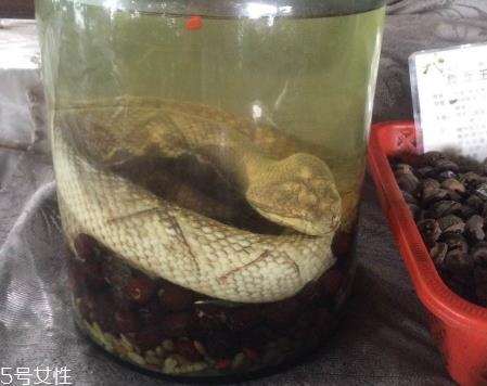 药酒太苦可以加蜂蜜吗 加的时机很重要 药酒太苦可以加蜂蜜吗 加的时机很重要