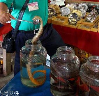 药酒太苦可以加蜂蜜吗 加的时机很重要 药酒太苦可以加蜂蜜吗 加的时机很重要