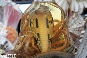 药酒太苦可以加蜂蜜吗 加的时机很重要 药酒太苦可以加蜂蜜吗 加的时机很重要