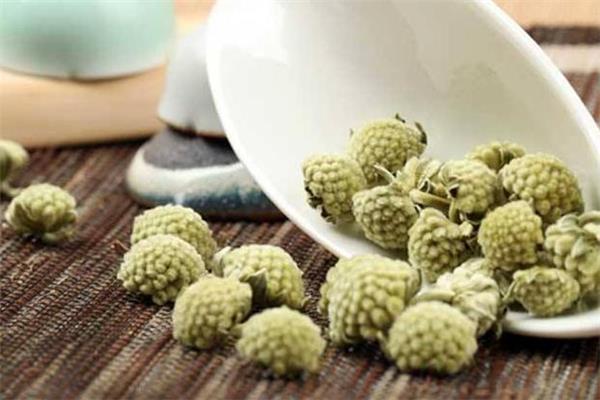 绿萝花茶哪种人不能喝 绿萝花茶适合什么人喝 绿萝花茶哪种人不能喝 绿萝花茶适合什么人喝