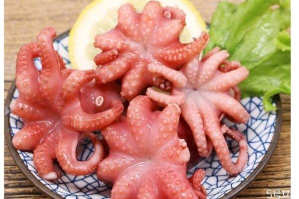 八爪鱼的墨汁可以吃吗 八爪鱼的墨汁能吃吗 八爪鱼的墨汁可以吃吗 八爪鱼的墨汁能吃吗