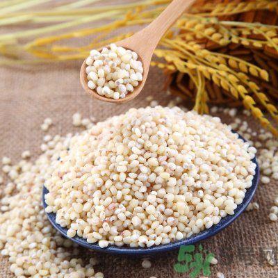 高粱米怎么做好吃?高粱米的吃法有哪些? 高粱米怎么做好吃?高粱米的吃法有哪些?