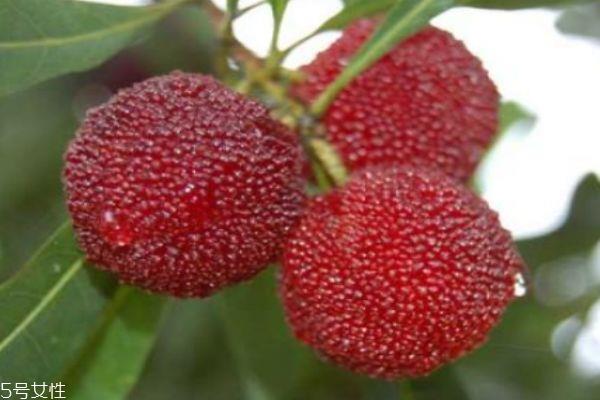 杨梅有什么营养价值呢 吃杨梅有什么好处呢 杨梅有什么营养价值呢 吃杨梅有什么好处呢