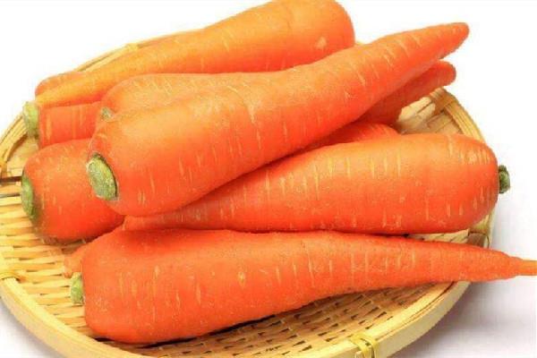 胡萝卜生吃和熟吃的功效有什么不同 胡萝卜的功效和作用