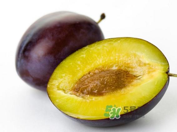 西梅怎么挑选？新鲜西梅怎么保存