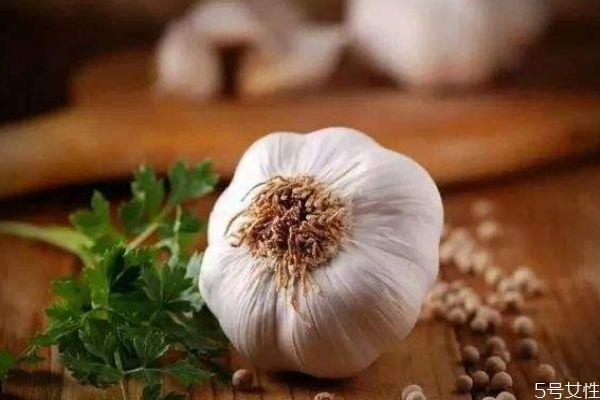 大蒜发芽了还可以吃吗 为什么大蒜吃起来好辣