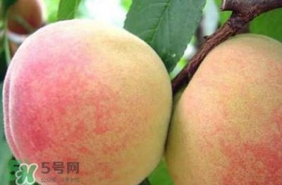 ​阳山水蜜桃几月份上市？阳山水蜜桃上市时间