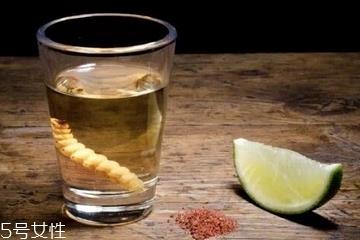 龙舌兰酒好喝吗 方法对了才好喝