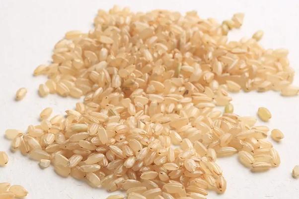 糙米的升糖指数是多少 糙米孕妇可以吃吗