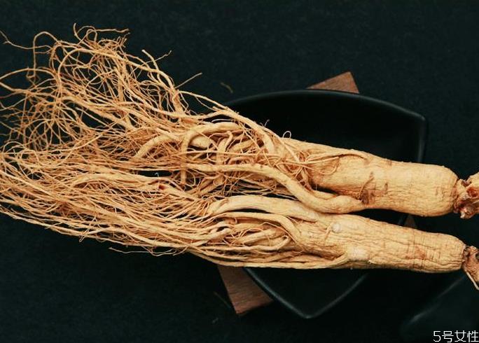 鲜人参和干人参的区别 鲜人参与干人参哪个好