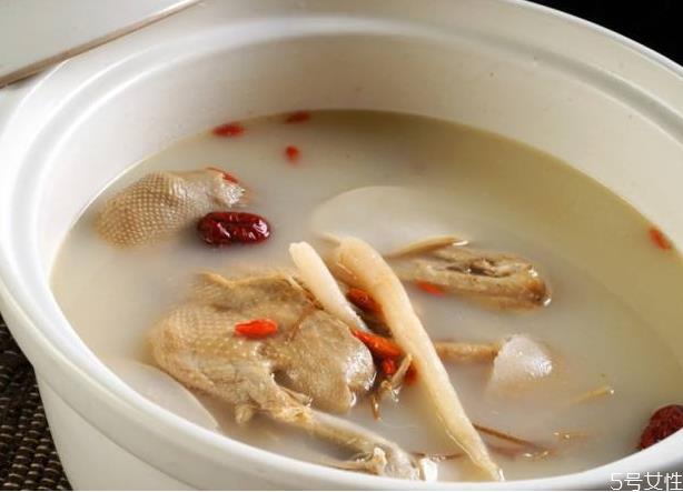 鸽子汤炖多久最营养 鸽子汤炖的越久越好吗 鸽子汤炖多久最营养 鸽子汤炖的越久越好吗