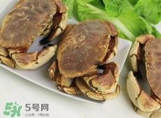 面包蟹是黄道蟹吗?黄道蟹和面包蟹一样吗 面包蟹是黄道蟹吗?黄道蟹和面包蟹一样吗