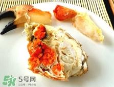 面包蟹是黄道蟹吗?黄道蟹和面包蟹一样吗 面包蟹是黄道蟹吗?黄道蟹和面包蟹一样吗