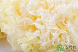新鲜银耳有毒吗?新鲜银耳怎么吃 新鲜银耳有毒吗?新鲜银耳怎么吃