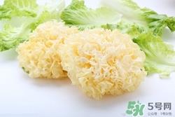 新鲜银耳有毒吗?新鲜银耳怎么吃 新鲜银耳有毒吗?新鲜银耳怎么吃