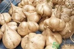 凉薯可以空腹吃吗?空腹吃凉薯好吗 凉薯可以空腹吃吗?空腹吃凉薯好吗