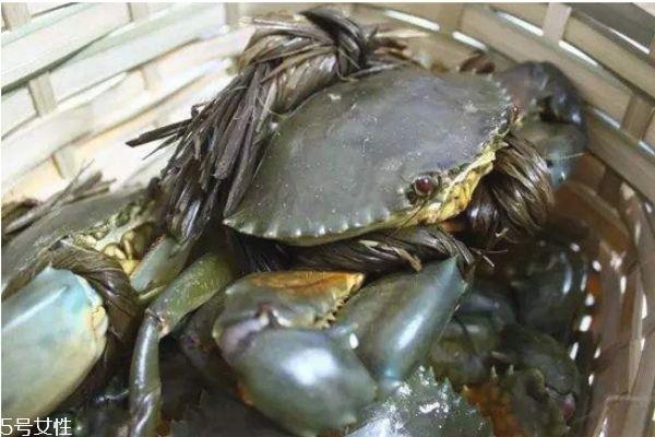 三门青蟹怎么挑选 青蟹判断是否鲜活小诀窍 三门青蟹怎么挑选 青蟹判断是否鲜活小诀窍
