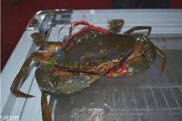 三门青蟹怎么挑选 青蟹判断是否鲜活小诀窍 三门青蟹怎么挑选 青蟹判断是否鲜活小诀窍