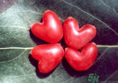 ​杈杷果好吃吗？杈杷果的营养价值与功效