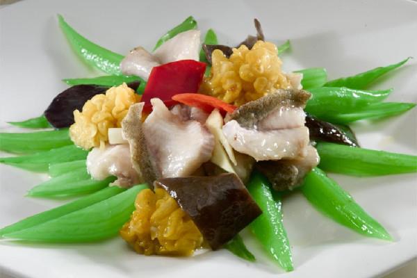 桂花鱼和鲈鱼哪个营养价值高 桂花鱼对伤口愈合有好处吗