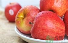 加力果是苹果吗?加力果和苹果的区别 加力果是苹果吗?加力果和苹果的区别