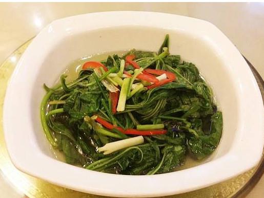 汗菜孕妇能吃吗?汗菜孕妇可以吃吗 汗菜孕妇能吃吗?汗菜孕妇可以吃吗