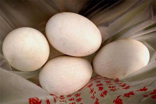 鹅蛋怎么保存 鹅蛋存放方法 鹅蛋怎么保存 鹅蛋存放方法