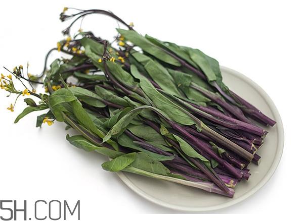 红菜苔为什么炒出来的汁是蓝色的?红菜苔是什么菜 红菜苔为什么炒出来的汁是蓝色的?红菜苔是什么菜