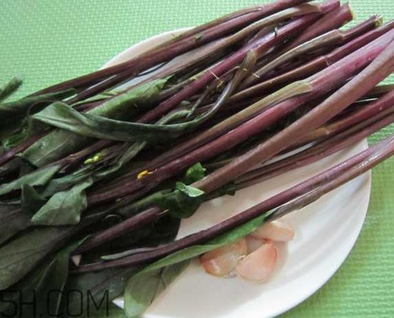 红菜苔为什么炒出来的汁是蓝色的?红菜苔是什么菜 红菜苔为什么炒出来的汁是蓝色的?红菜苔是什么菜