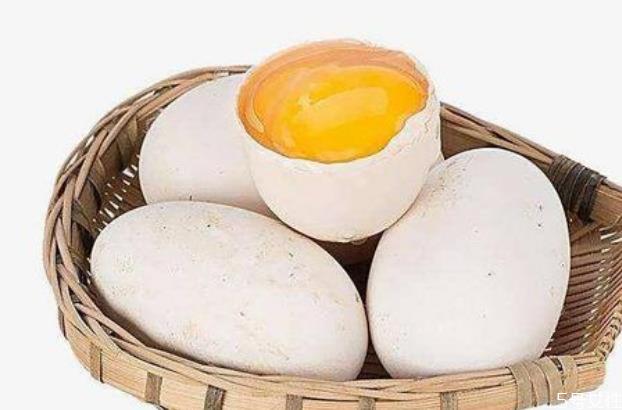 男孩发育吃鹅蛋好吗 女人吃鹅蛋好还是鸡蛋好 男孩发育吃鹅蛋好吗 女人吃鹅蛋好还是鸡蛋好