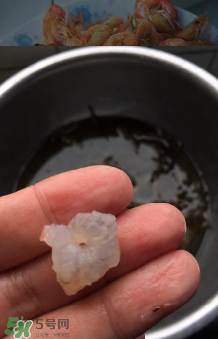 河虾可以放冰箱吗?河虾在冰箱能放几天? 河虾可以放冰箱吗?河虾在冰箱能放几天?