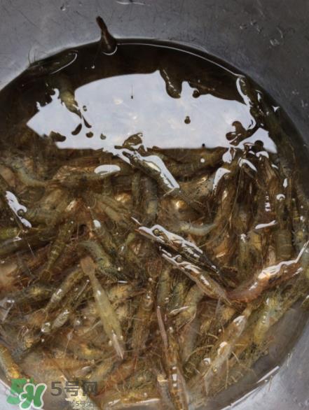 河虾可以放冰箱吗?河虾在冰箱能放几天? 河虾可以放冰箱吗?河虾在冰箱能放几天?