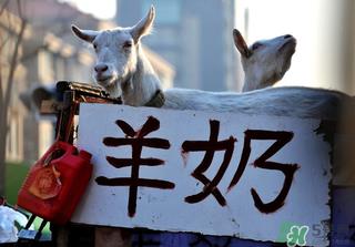 鲜羊奶怎么保存?鲜羊奶放冰箱能放多久? 鲜羊奶怎么保存?鲜羊奶放冰箱能放多久?