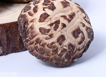 花菇的营养价值和功效作用 花菇的营养价值和功效作用