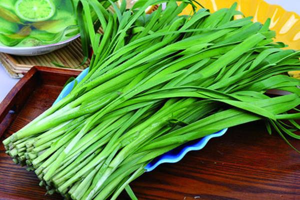 韭菜一天适合吃多少 韭菜几天吃一次好 韭菜一天适合吃多少 韭菜几天吃一次好