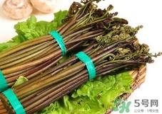 猫爪菜的营养价值_猫爪菜的功效与作用及食用方法 猫爪菜的营养价值_猫爪菜的功效与作用及食用方法