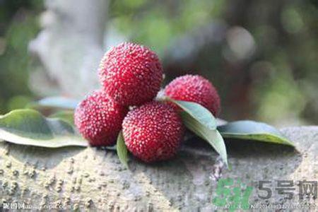 吃杨梅会上火吗?吃杨梅上火怎么办? 吃杨梅会上火吗?吃杨梅上火怎么办?