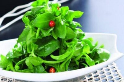 ​穿心莲可以治疗痘痘吗 孕妇可以吃穿心莲吗