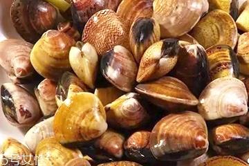 文蛤一定要煮熟吗？文蛤能不煮熟吗？