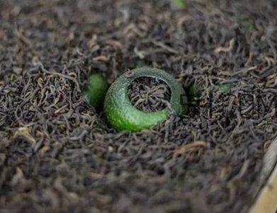 ​小青柑多少度水泡？小青柑一斤多少个