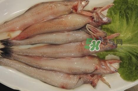 龙头鱼怎么杀？龙头鱼怎么处理？