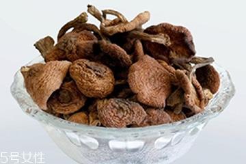 榛蘑怎么吃?干榛蘑怎么吃? 榛蘑怎么吃?干榛蘑怎么吃?