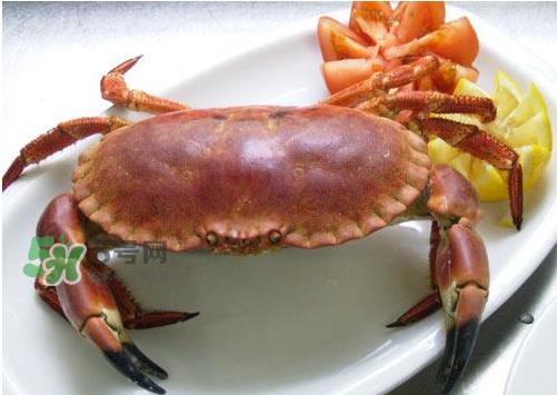 海螃蟹能冷冻保存吗?海螃蟹放冰箱冷冻吗? 海螃蟹能冷冻保存吗?海螃蟹放冰箱冷冻吗?