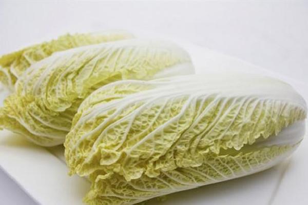 娃娃菜是转基因的吗 娃娃菜是白菜的一种吗 娃娃菜是转基因的吗 娃娃菜是白菜的一种吗