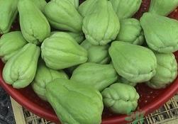 佛手瓜可以生吃吗?佛手瓜能生吃吗? 佛手瓜可以生吃吗?佛手瓜能生吃吗?