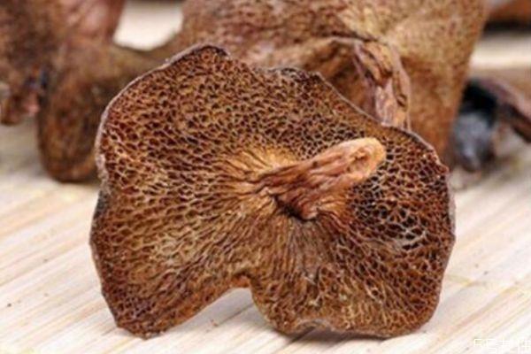 松蘑怎么清洗才没有杂质