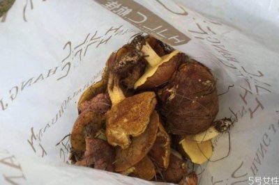 ​松蘑怎么清洗才没有杂质