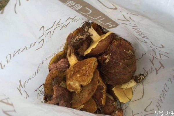 松蘑怎么清洗才没有杂质