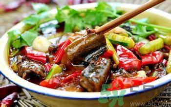 鳝鱼可以和黄瓜一起吃吗?鳝鱼能和黄瓜同吃吗? 鳝鱼可以和黄瓜一起吃吗?鳝鱼能和黄瓜同吃吗?