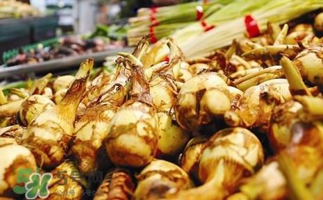 慈姑什么时候种植?慈姑什么时候上市 慈姑什么时候种植?慈姑什么时候上市